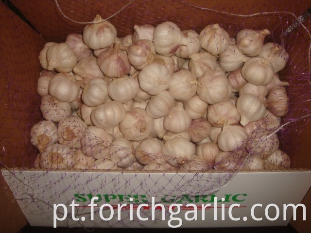 4 5cm Normal White Garlic